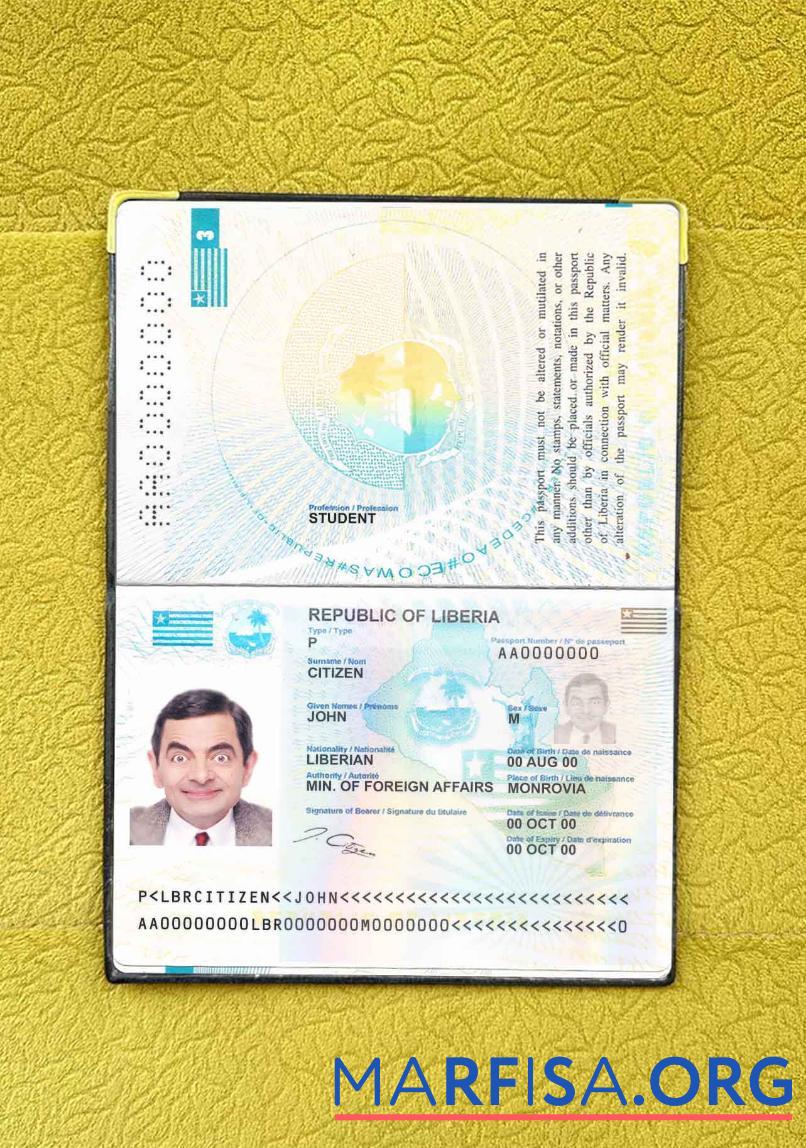 Printable Liberia pass photo look sample